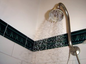 showerhead1