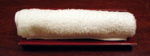 towelthin1