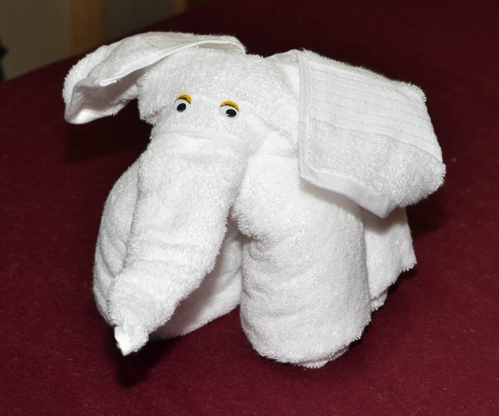 elephant21