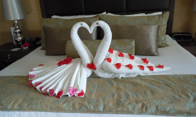 towelswans